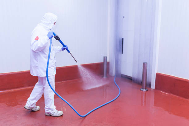 Best Post-Construction Pressure Washing  in Warren, IL